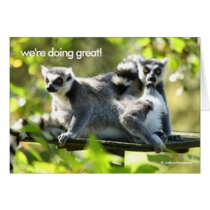 Funny Surprised Madgascar Lemurs Monkey Busines Cards