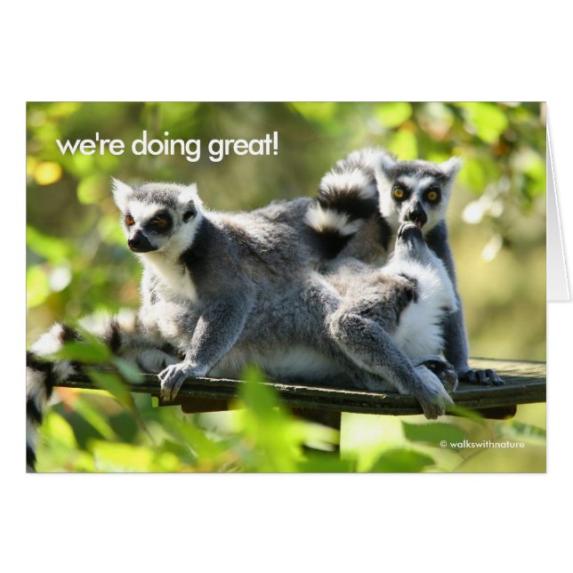 Funny Surprised Madgascar Lemurs Monkey Busines Cards (Front Horizontal)