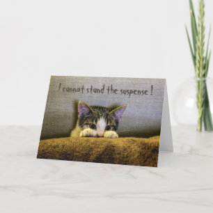 Funny Suspense Cat Greeting Card