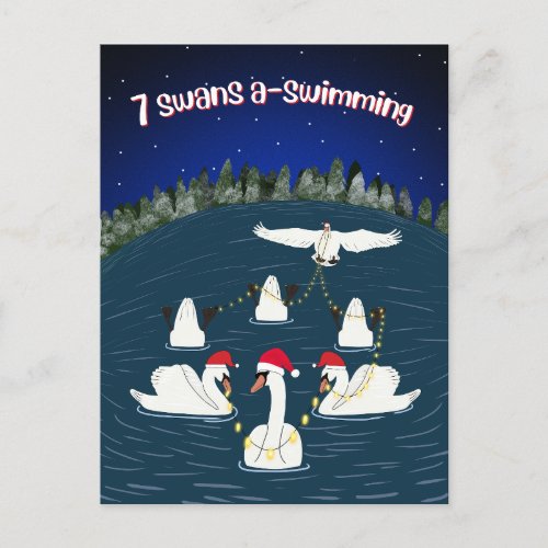 Funny Swans Swimming 12 Days of Christmas Holiday Postcard
