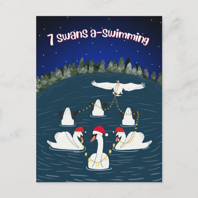 Funny Swans Swimming 12 Days of Christmas Holiday Postcard (Front)