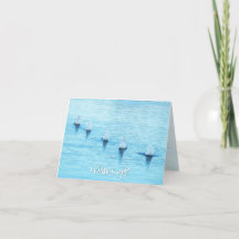 Funny Swans What's Up All Occasion Blank