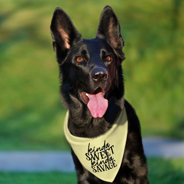 Funny sweet savage word art  pet bandana collar (Dog)