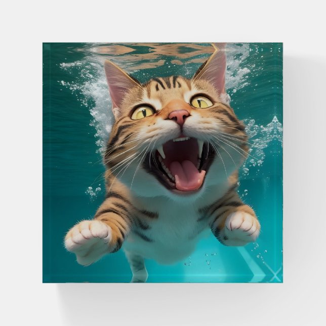 Funny Swimming Cat Diving Underwater Paperweight (Front)