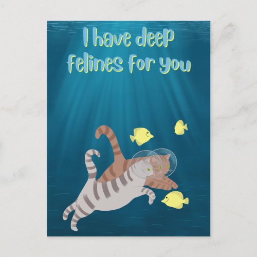 Funny Swimming Cats Ocean Valentines Day Holiday Postcard