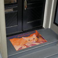 Funny Tabby Cat Bright Orange Cute