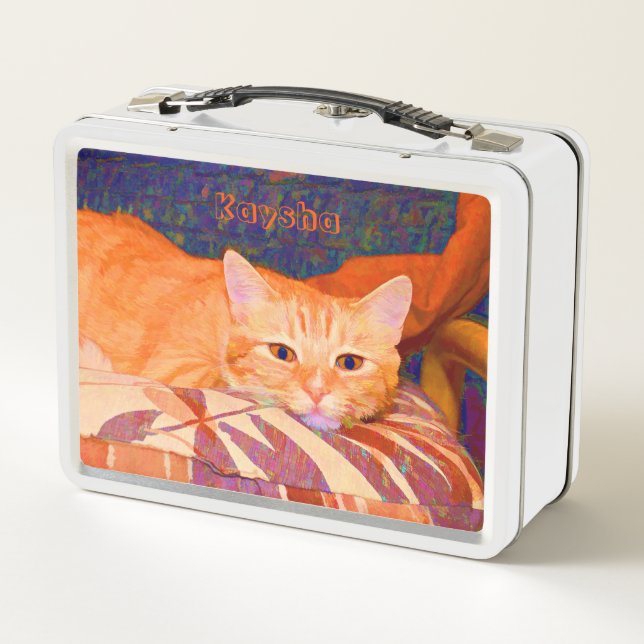 Funny Tabby Cat Bright Orange Cute Metal Lunch Box (Back)