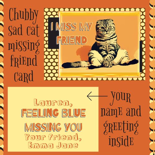 Funny Tabby Fat Cat I Miss My Friend Greeting Card