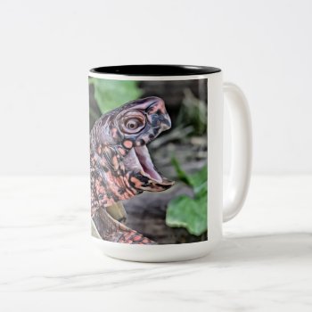 Funny Talking Box Turtle Two-tone Coffee Mug by WackemArt at Zazzle