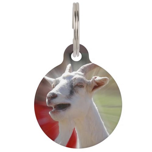 Funny Talking Goat Photograph Pet ID Tag