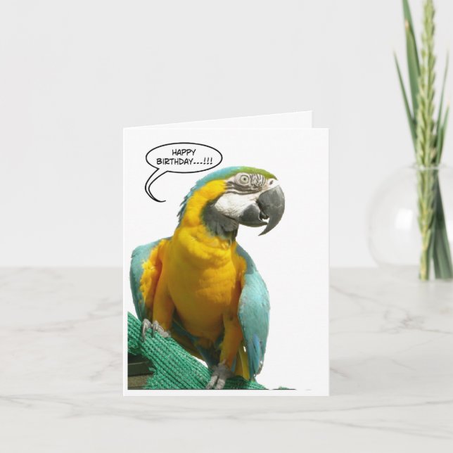 Funny Talking Parrot Birthday Big Greeting Card (Front)