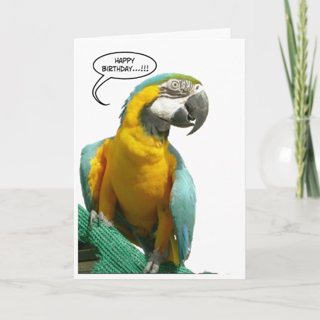 Funny Talking Parrot Birthday Big Greeting Card (Front)