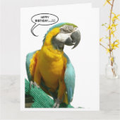 Funny Talking Parrot Birthday Big Greeting Card (Yellow Flower)