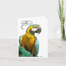 Funny Talking Parrot Birthday Big Greeting Card