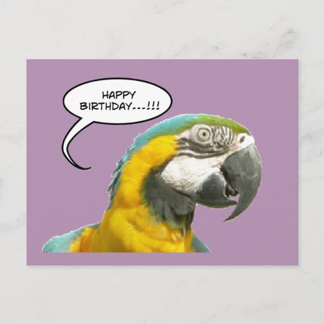 Funny Talking Parrot Birthday Postcard (Front)
