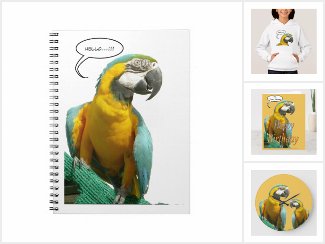 Funny Talking Parrot Collection