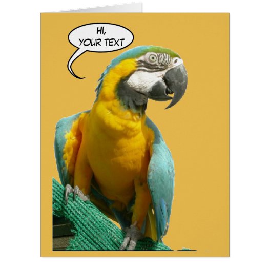 Funny Talking Parrot Cust. Text Greeting Card