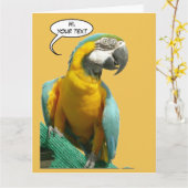 Funny Talking Parrot Cust. Text Greeting Card (Yellow Flower)