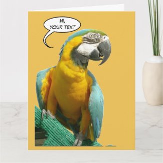 Funny Talking Parrot Cust. Text Greeting Card