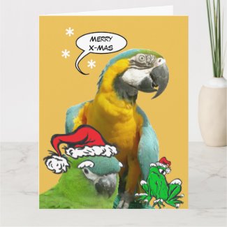 Funny Talking Parrot Merry X-Mas Greeting Card