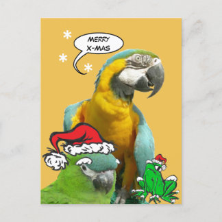 Funny Talking Parrot Merry X-Mas Postcard