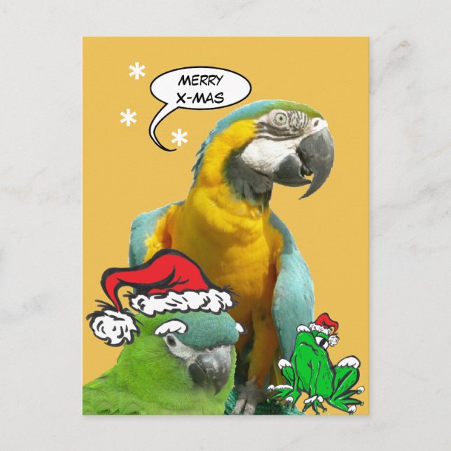 Funny Talking Parrot Merry X-Mas Postcard (Front)
