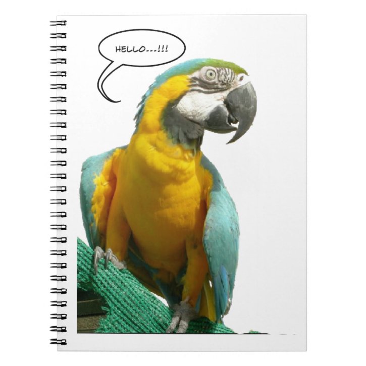 Funny Talking Parrot Notebook