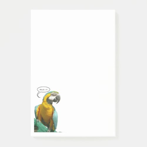 Funny Talking Parrot Notes