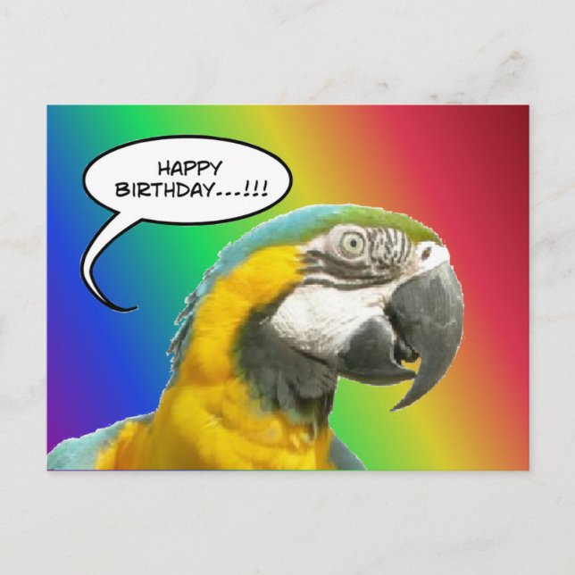Funny Talking Parrot Rainbow Birthday Postcard (Front)