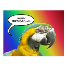Funny Talking Parrot Rainbow Birthday Postcard