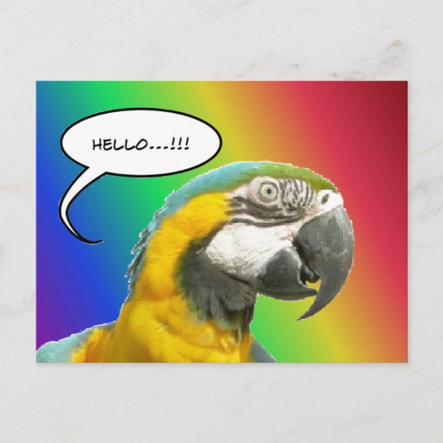 Funny Talking Parrot Rainbow Hello Postcard (Front)