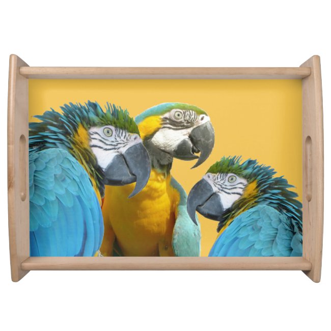 Funny Talking Parrots Cust. BG Color Serving Tray