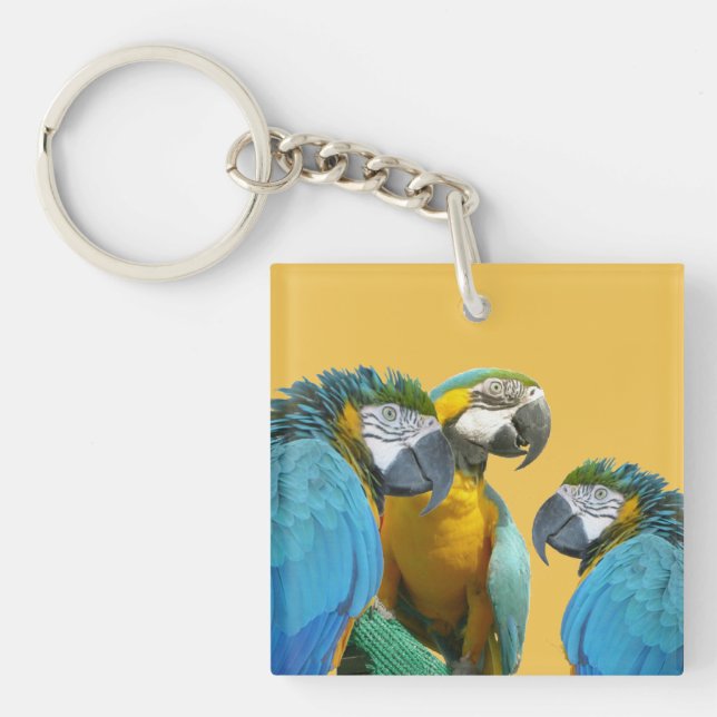Funny Talking Parrots Cust. Text + Color Keychain (Front)