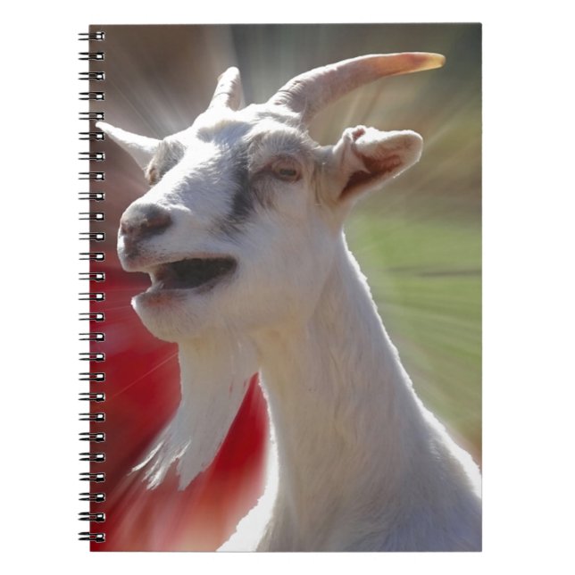 Funny Tallking Goat Photograph Notebook (Front)