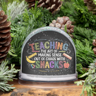 Funny Teaching Definition Best Teacher Ever Class Snow Globe