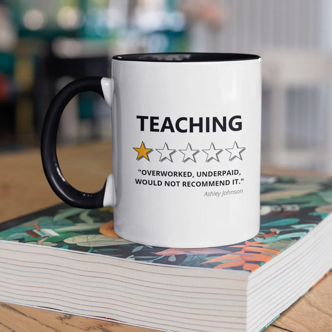 Funny Teaching Would Not Recommend Mug (Creator Uploaded)