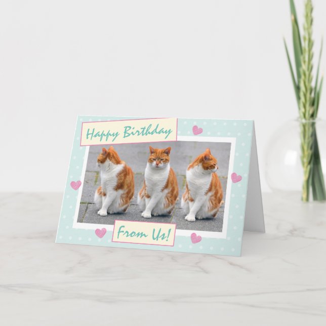 Funny Teal Blue From The Cats Photo Happy Birthday Card (Front)