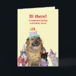 Funny Template for Birthday<br><div class="desc">Humorous,  cheerful template for a birthday card.    You can change the text,  the fonts,  the font size and color.  You can also change the light yellow background color on all four pages.</div>