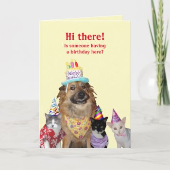 Funny Template For Birthday by myrtieshuman at Zazzle