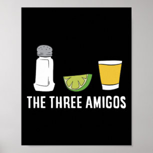 Funny Tequila Love Cinco De Mayo Tequila Salt And  Poster