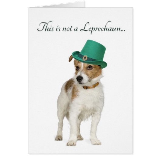 Funny Terrier Leprechaun Card (Front)