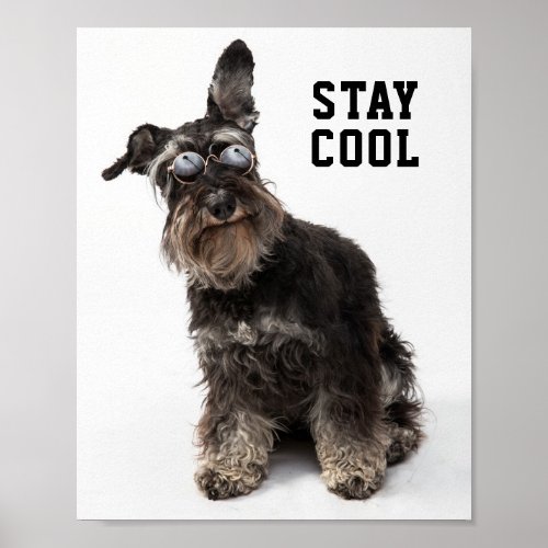 Funny Terrier with Sunglasses Cute Dog Photo Poster