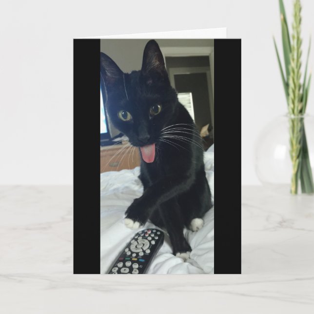 funny Thank You card cat hides remote (Front)