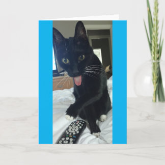 funny Thank You card cat hides remote Mother's Da