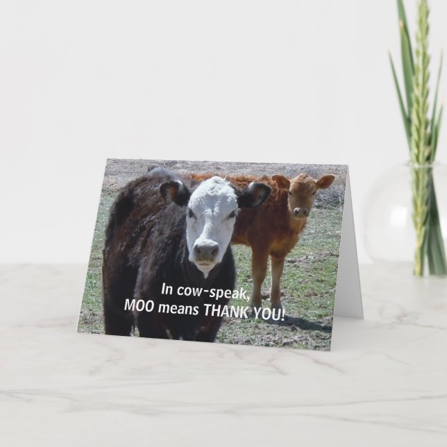Funny Thank You - Cow Animal Humor - Ranch Card (Front)