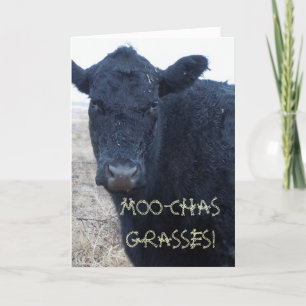 Funny Thank You Cute Black Cattle Cow Card