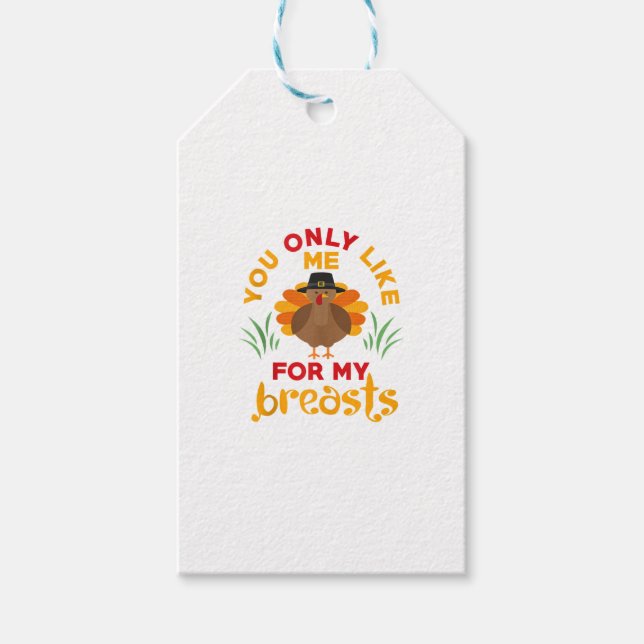 Funny Thanksgiving Pilgrim Turkey  Gift Tags (Front)