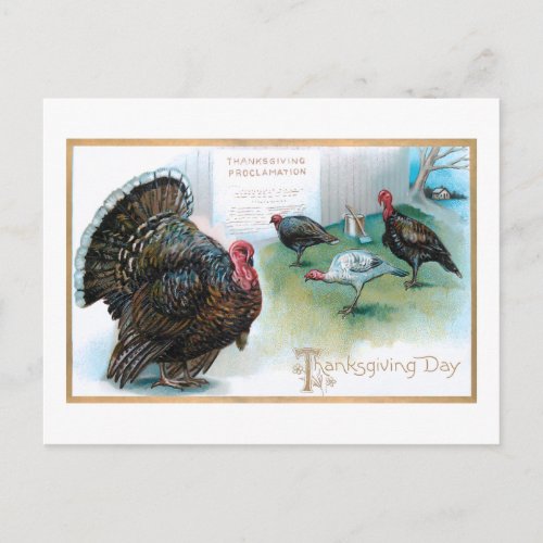 Funny Thanksgiving Turkeys Reading Proclamation Postcard