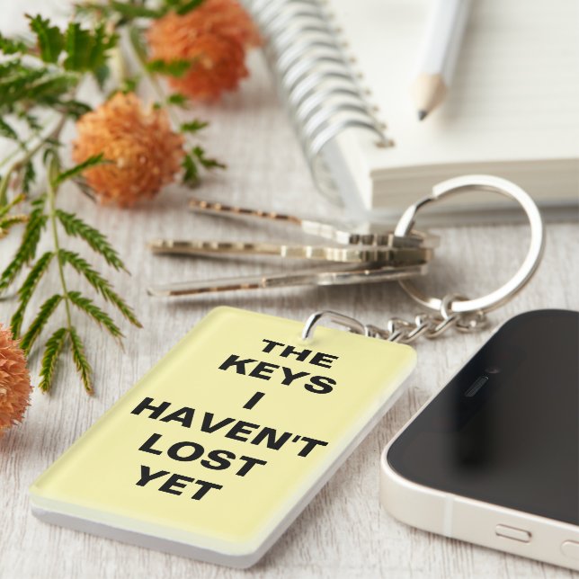 Funny "THE KEYS I HAVEN'T LOST YET" keychain (Front Right)