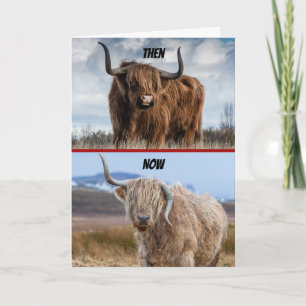 Funny Then And Now Hell-Raising Bull Birthday Card